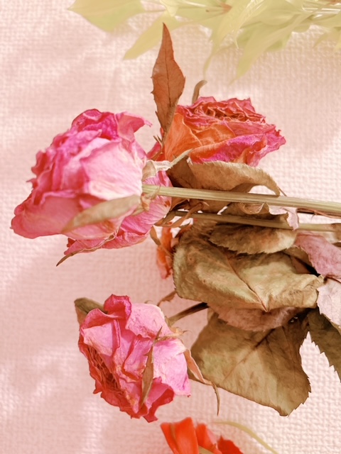 image9.jpeg