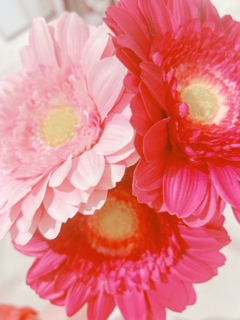 image1.jpeg