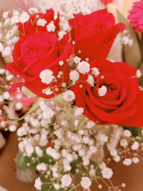 image8.jpeg