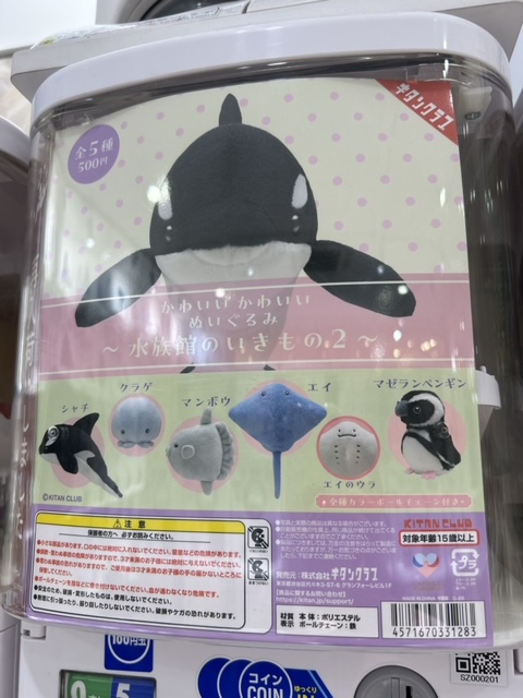 image5.jpeg