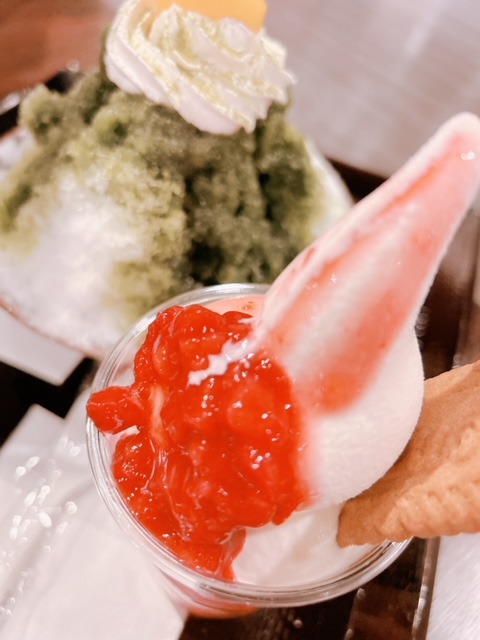 image5.jpeg