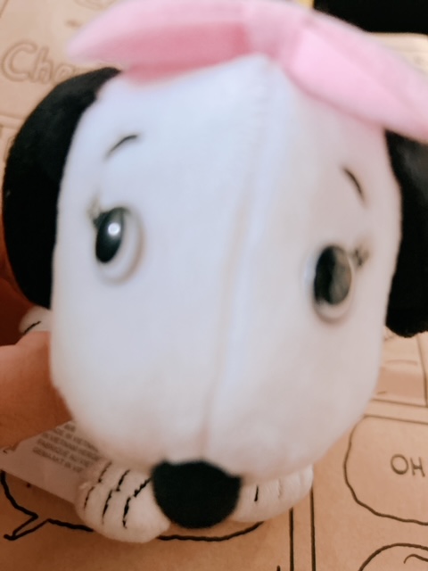image6.jpeg