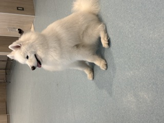 image0.jpeg
