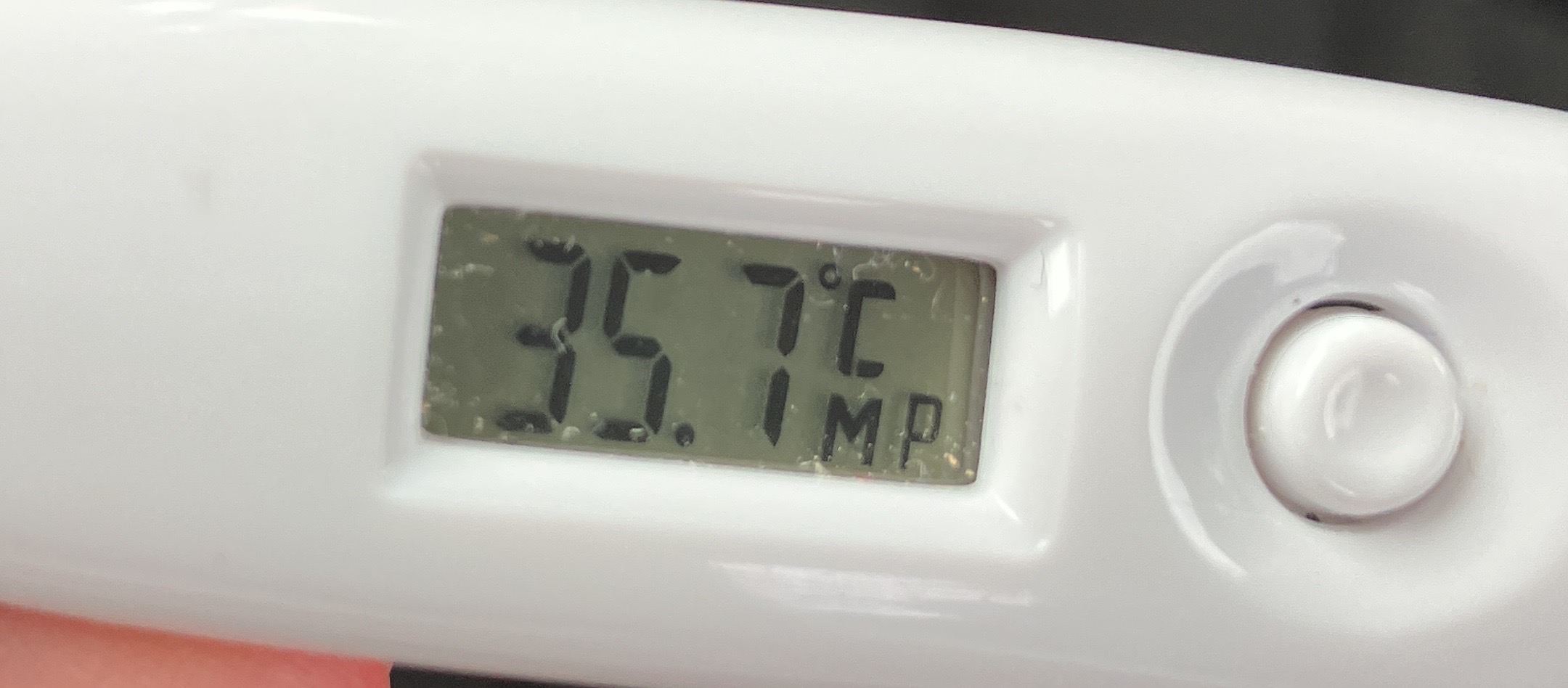 image0.jpeg