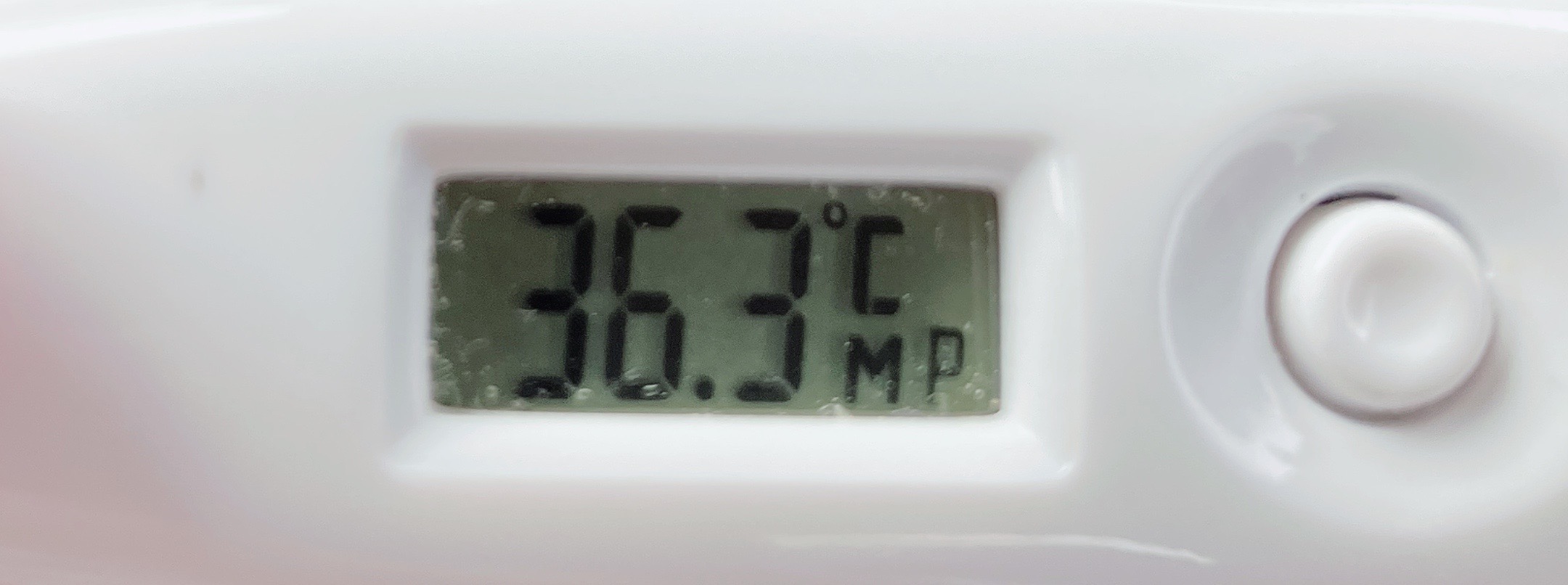 image0.jpeg