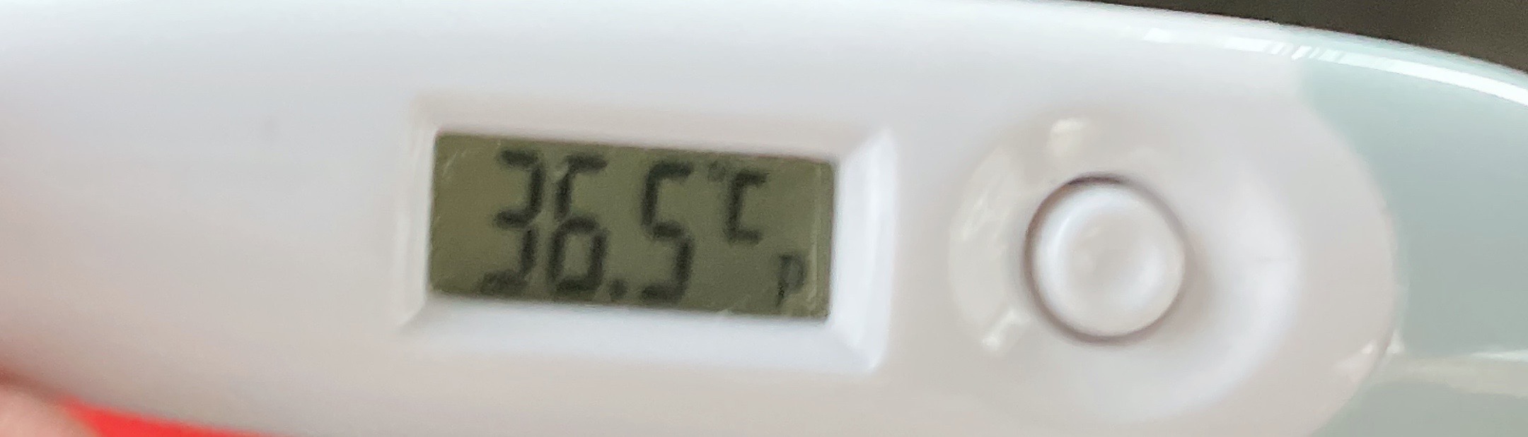 image0.jpeg