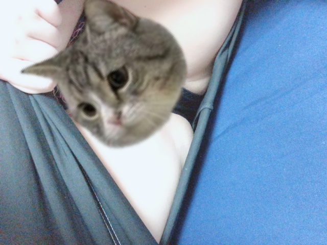 image0.jpeg