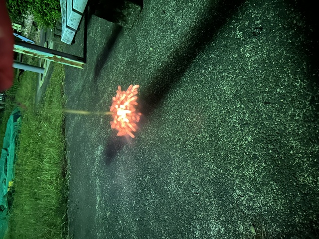image0.jpeg