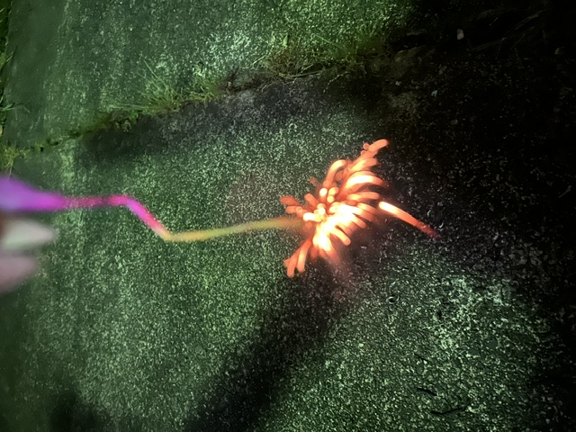 image1.jpeg