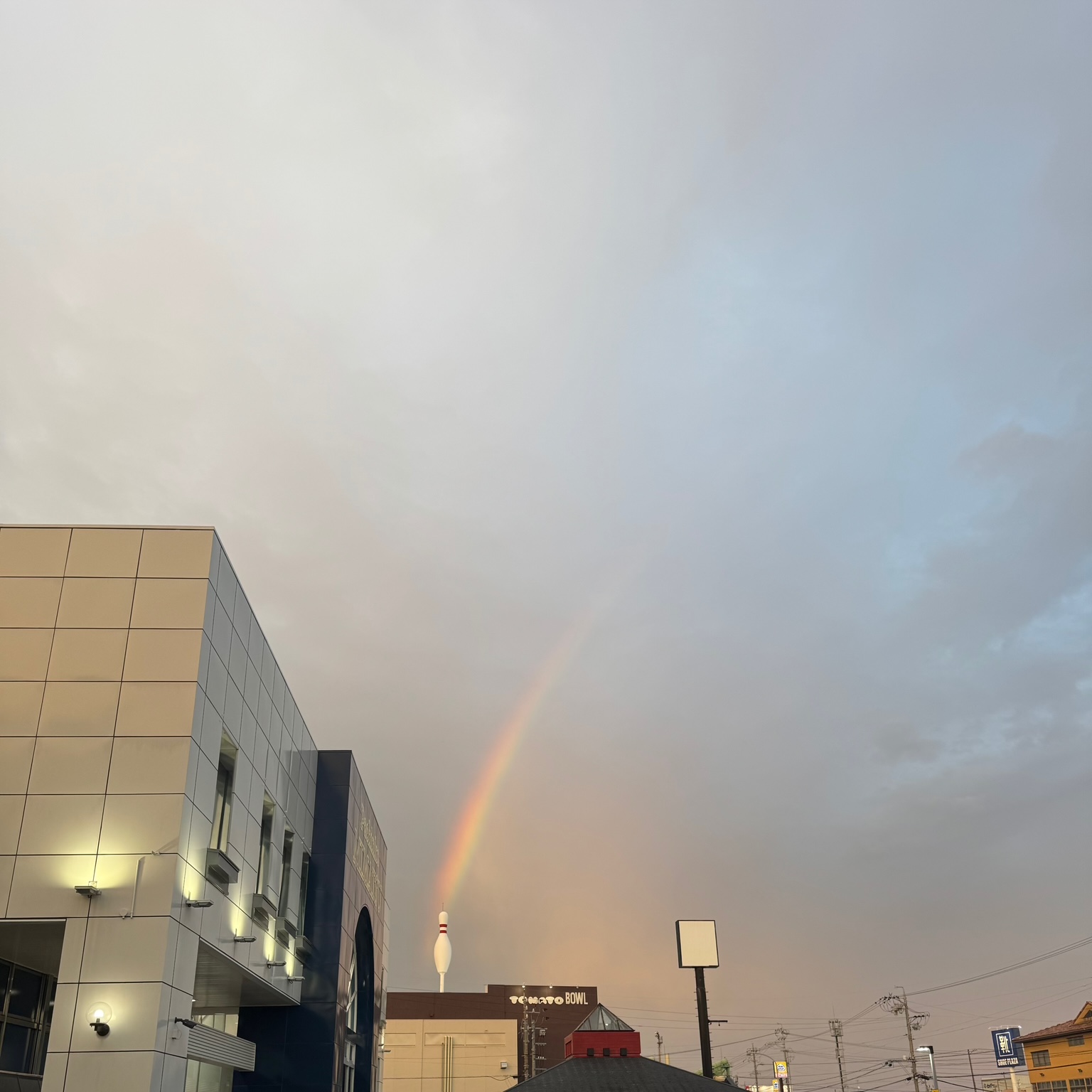 image1.jpeg