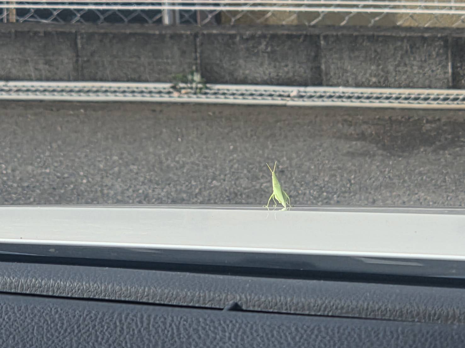 image0.jpeg