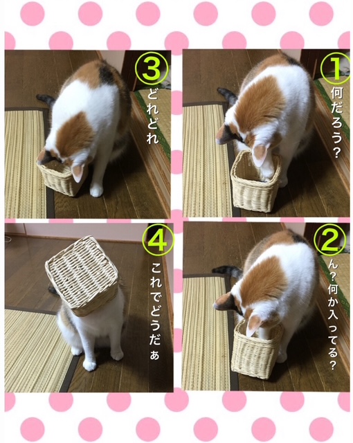 image1.jpeg